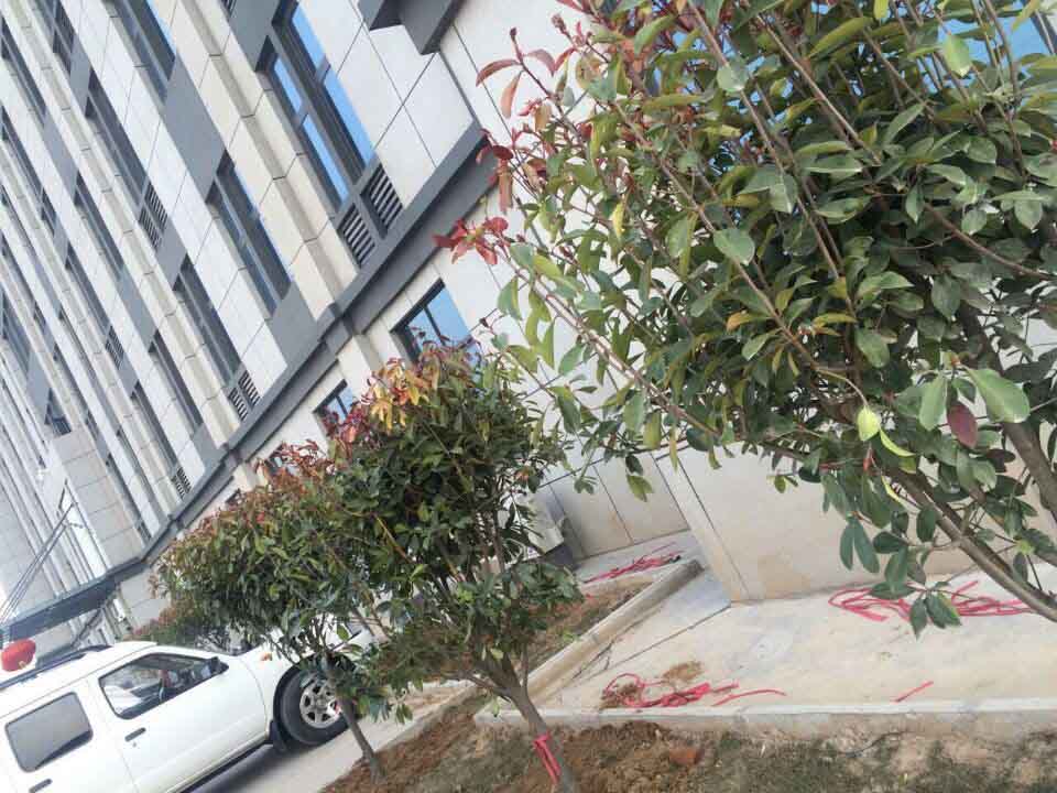 河南澳洲5手机平台_澳洲5（中国）总代理