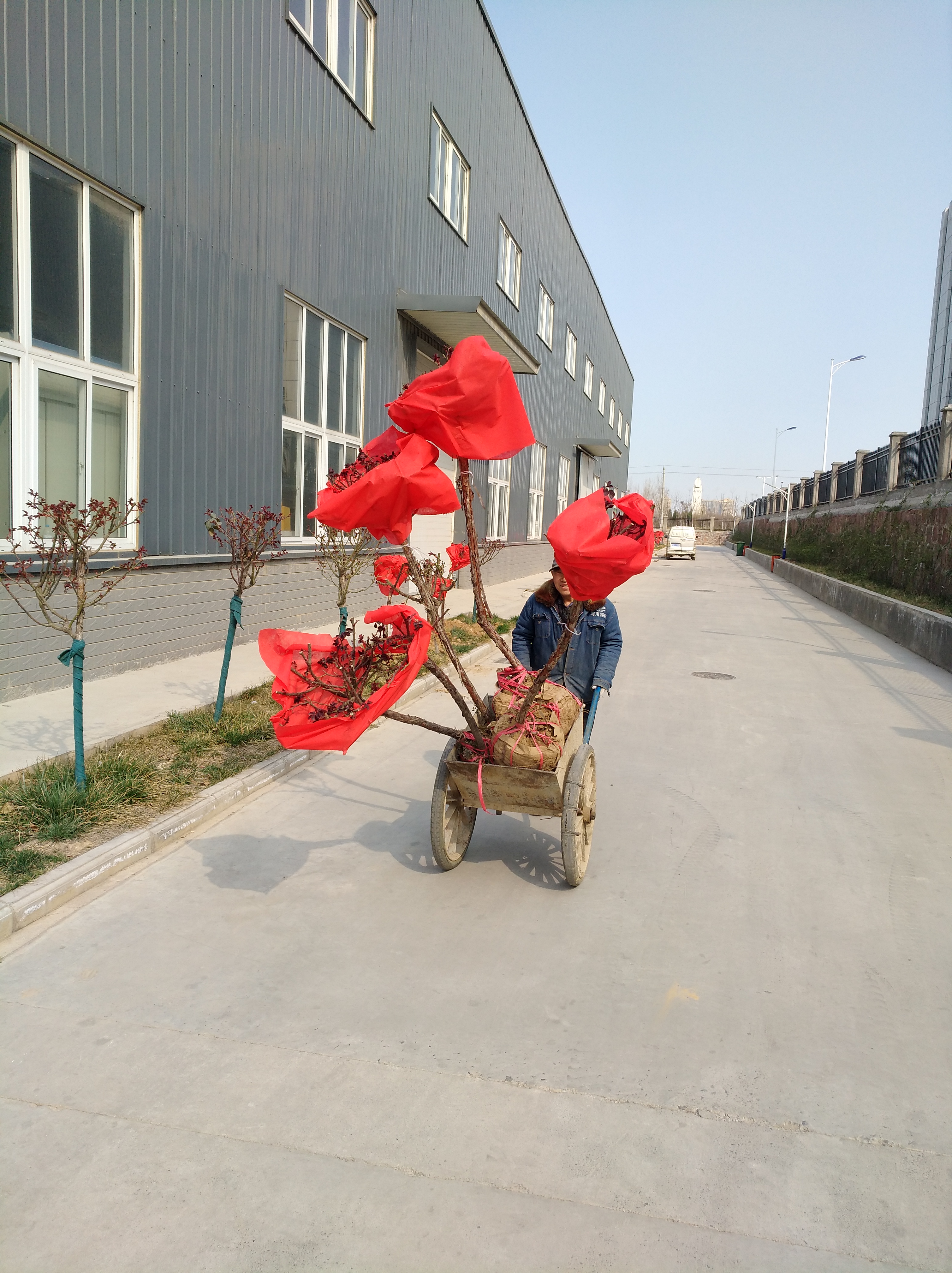 河南路友 澳洲5手机平台_澳洲5（中国）总代理