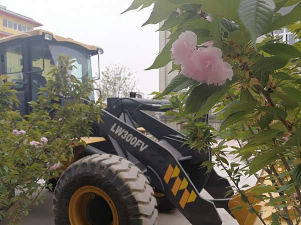 樱花树下的澳洲5手机平台_澳洲5（中国）装载机